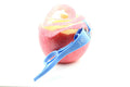 Pear Peeler Spiral Planer Fruit Blue