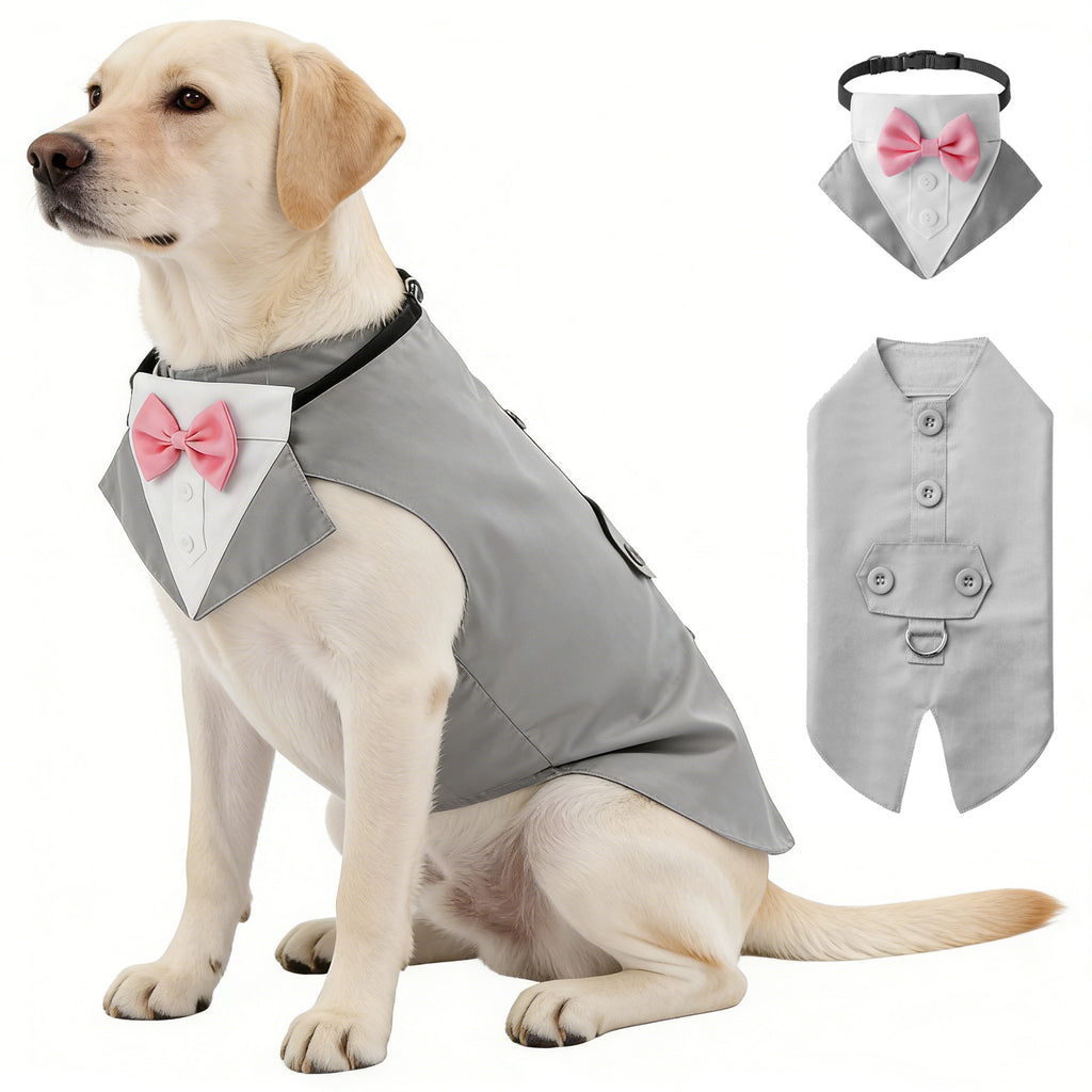 Creative All-Match Pet Clothes And Scarf Set