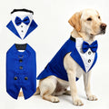 Creative All-Match Pet Clothes And Scarf Set