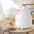 Household Fruit And Vegetable Spray Moisturizing Steaming Facial